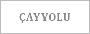 çayyolu